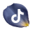 WEB_Tiktok